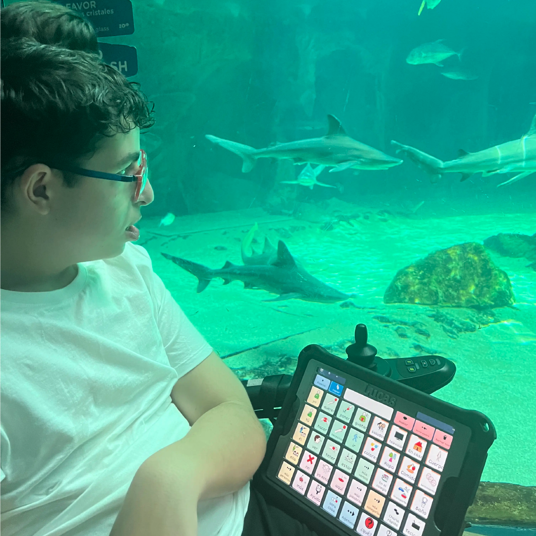 Lenguaje Natural Asistido